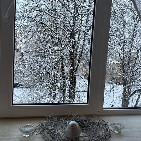 Cozy Studio Apartment In The Center Of Ryga Zewnętrze zdjęcie