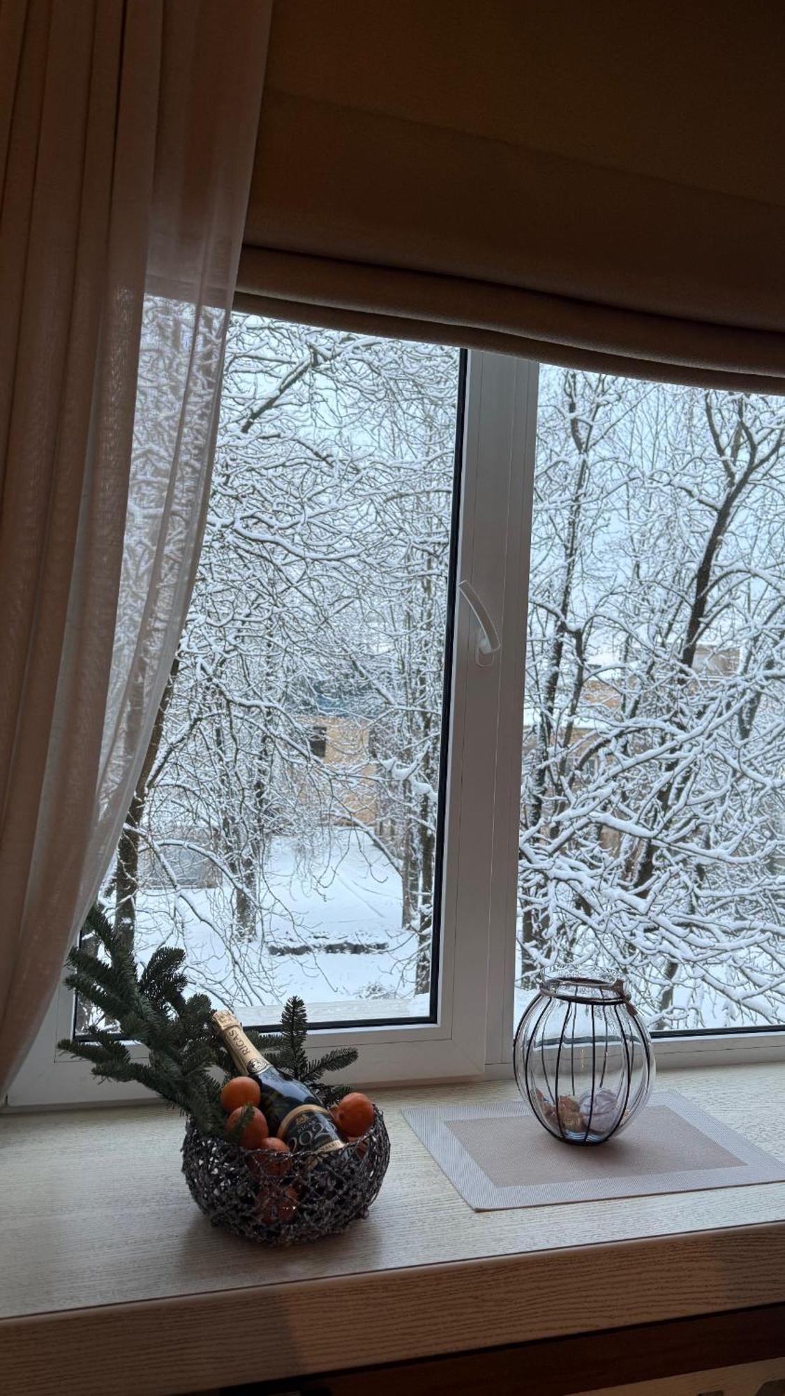 Cozy Studio Apartment In The Center Of Ryga Zewnętrze zdjęcie
