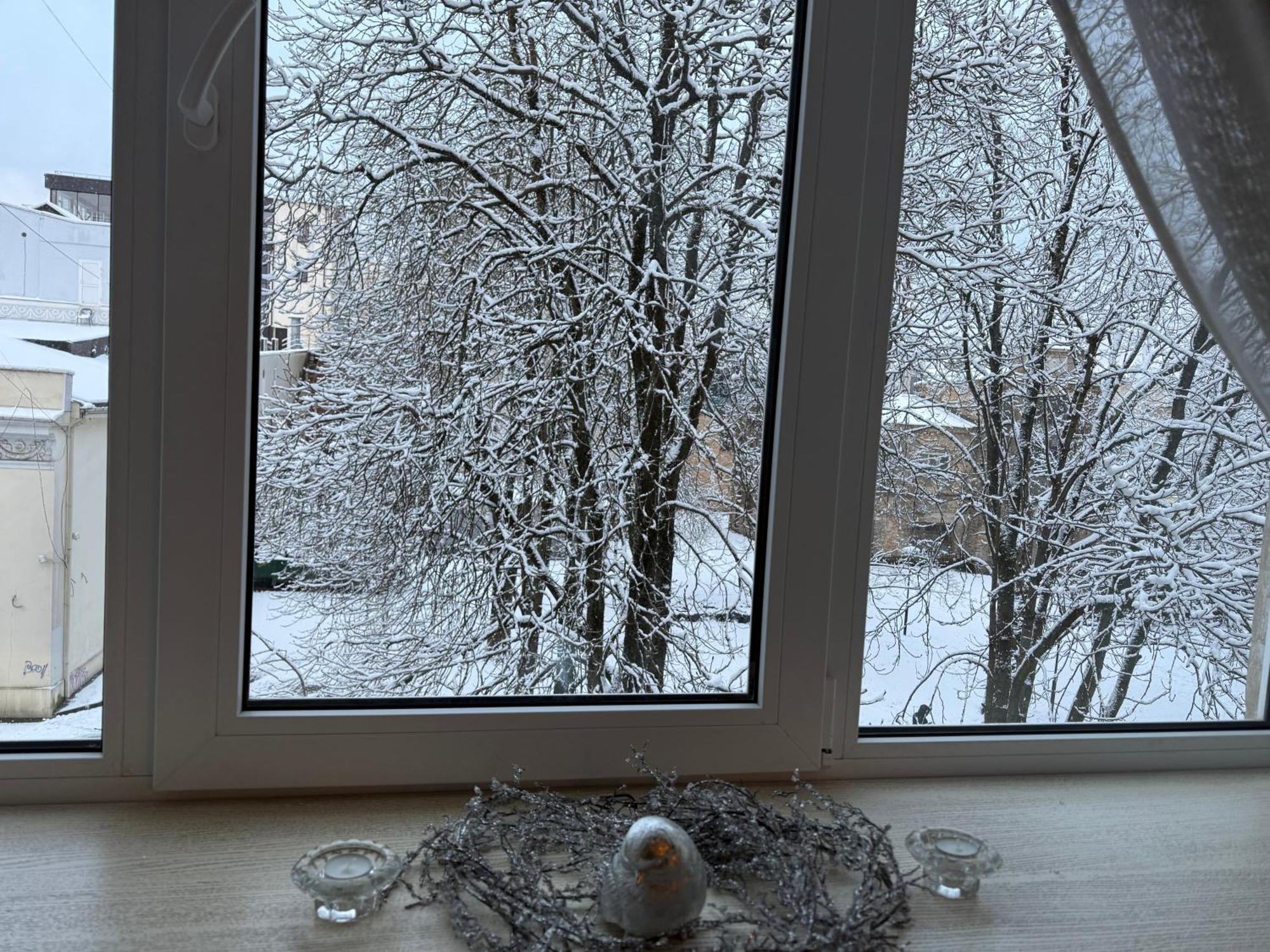 Cozy Studio Apartment In The Center Of Ryga Zewnętrze zdjęcie